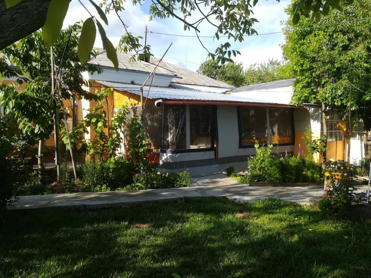 Rustic House Apartamento Turnu Magurele Exterior foto